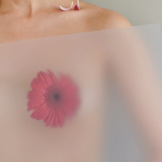 What Is a Nipple Cover? - NIIDOR